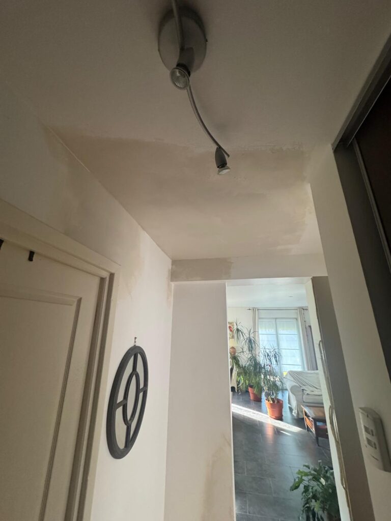 application manuelle d’un enduit sur un mur pour finaliser les travaux de construction ou de rénovation