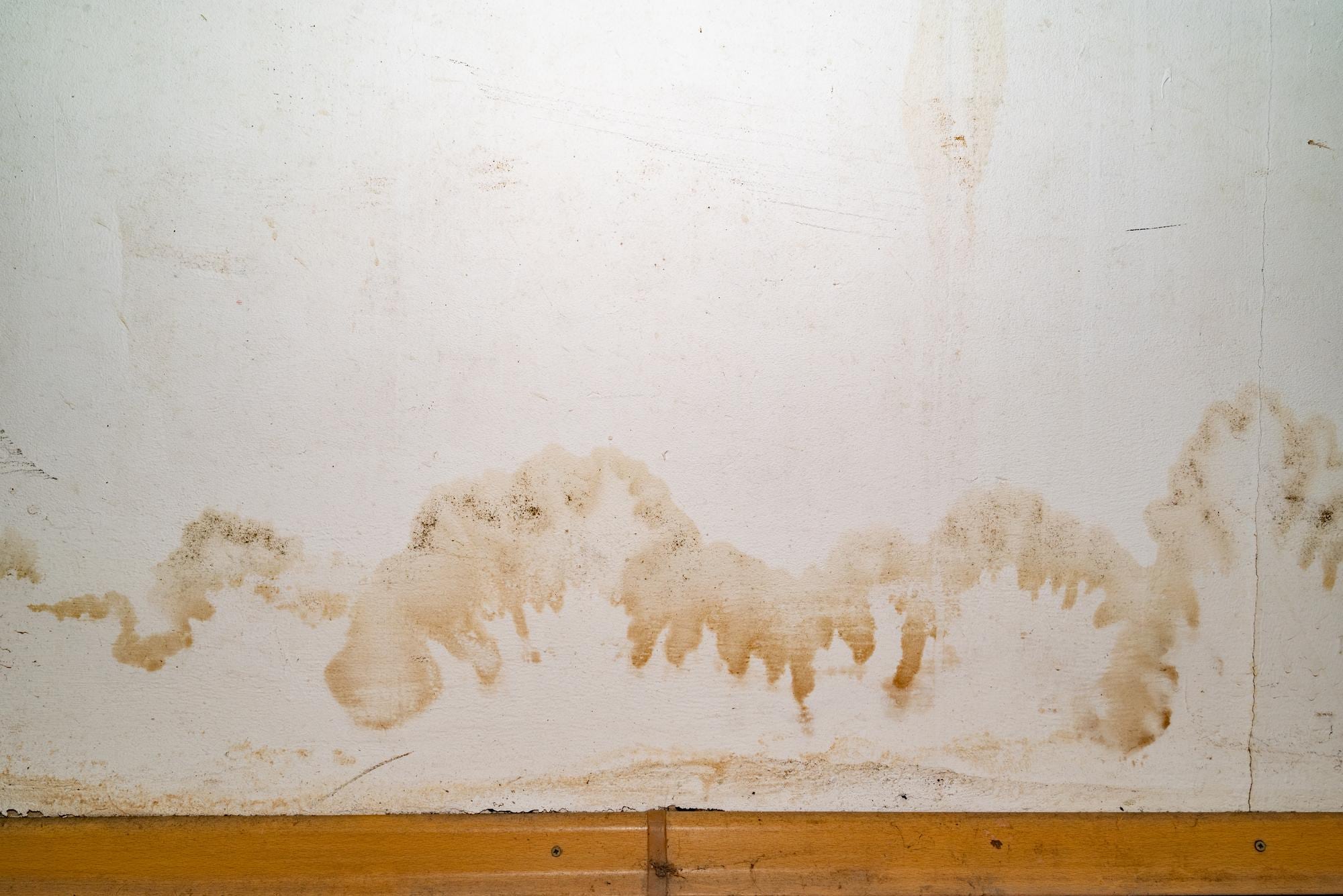Mur humide dans une maison en rénovation montrant des traces d’infiltration et dégradation